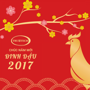 Đinh Dậu 2017
