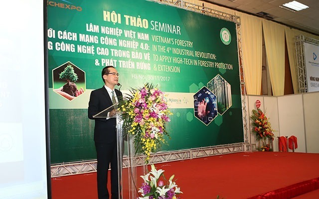 rừng
