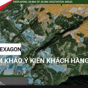 cover FB hexagon survey