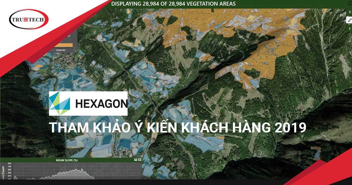 cover FB hexagon survey