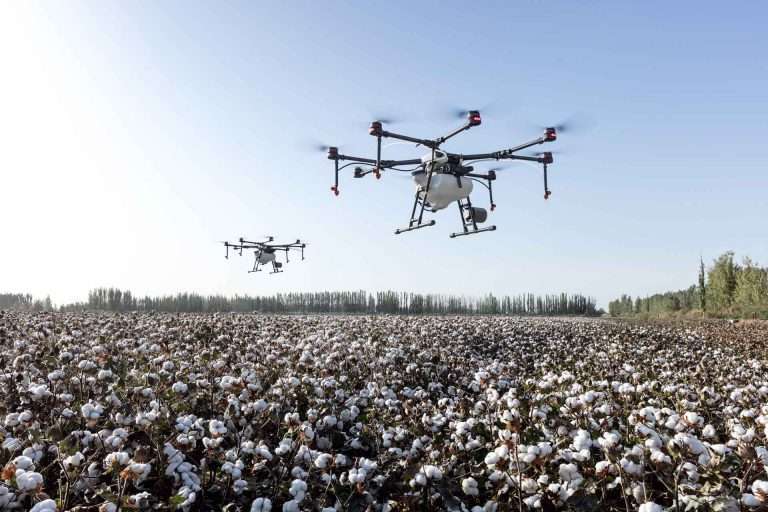 agriculture 4208863