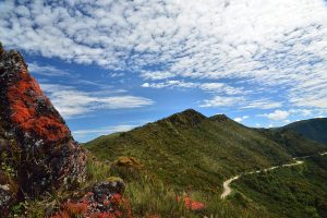 Parque Chingaza. Colombia