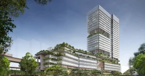 Thiet ke cau vuot MRT Singapore IDEA StatiCa Detail giai quyet ket cau be tong phuc tap