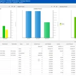 Portfolio Planning Control A visual sample of role based dashboards